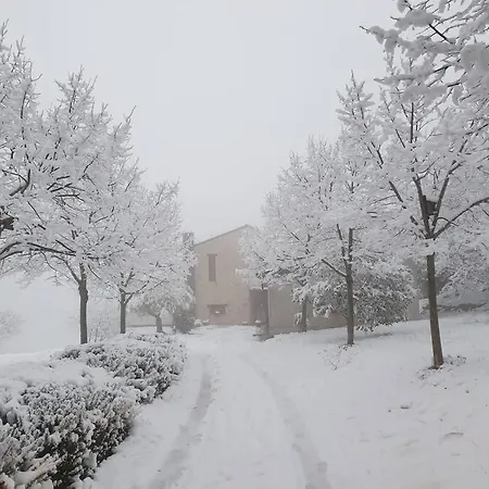 La Casetta Sulle Nuvole. Chalet *